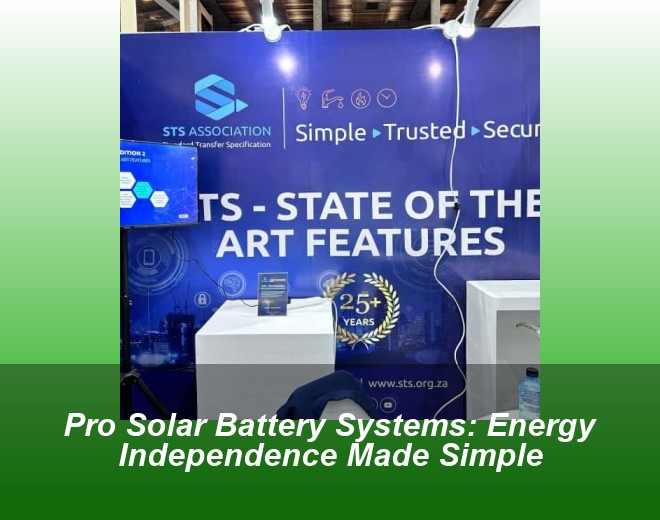 Pro Solar Battery Systems: Energy Independence Made Simple